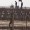 Iranian dissidents: Iraq trying to force us into ‘concentration camp’