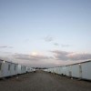 Yemeni scholars demand justice for Camp Liberty residents