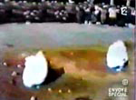 Stoning of a man an woman in Iran in the 1980s