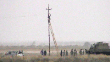 ashraf-cables-1