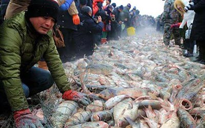 Protest_Chinese_fishermen_fishing_south