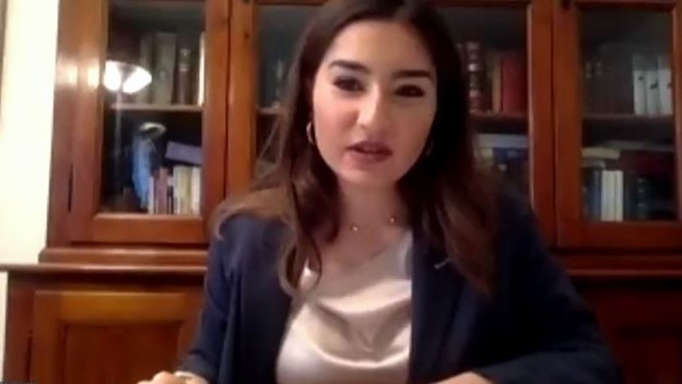 Samira Ardalan, medical student from Italy and moderator of the internet conference - March 8, 2020