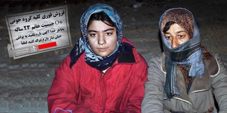 Sale-of-kidney-remains-as-the-only-way-for-a-woman-head-of-household Sale-of-kidney-remains-as-the-only-way-for-a-woman-head-of-household