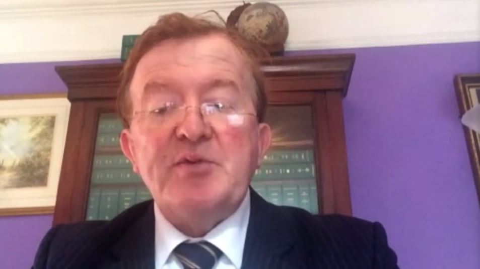 Former Irish minister John Perryin addresses the NCRI webinar