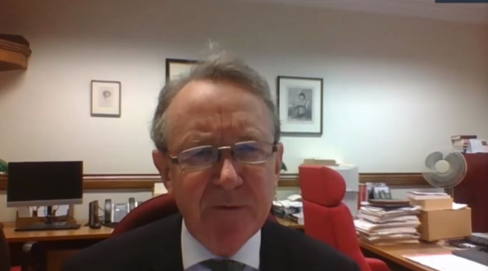 Lord David Alton of Liverpool addresses the NCRI webinar