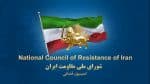 NCRI-Judicial-Committee