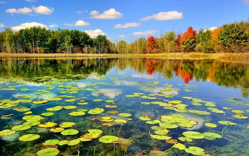 Irans-wetlands-1 Irans-wetlands-1