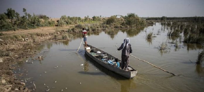 Haiwazah-Marshs-NCRI