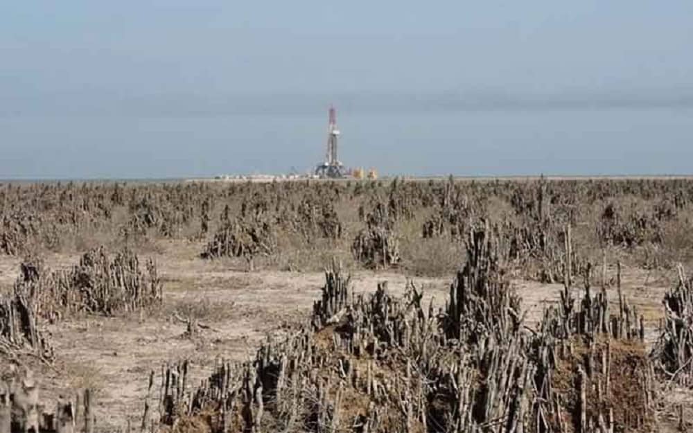 Silent-Crime-Against-Irans-Nature-and-People Silent-Crime-Against-Irans-Nature-and-People