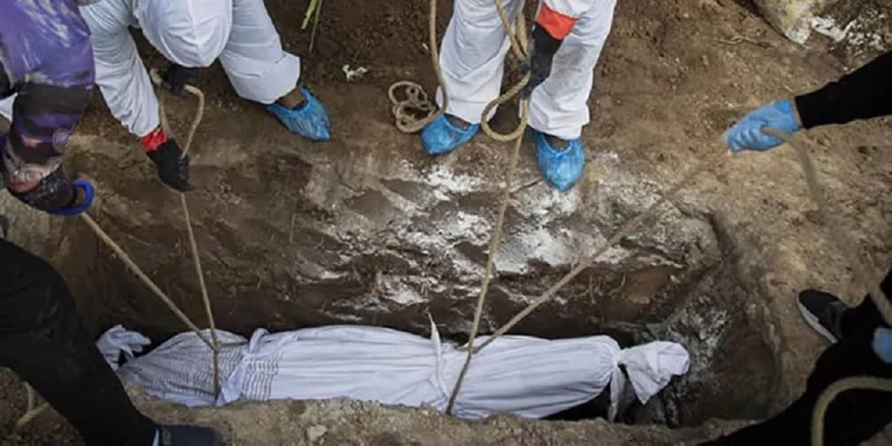 Daily-deaths-from-COVID-19-will-reach-800-in-Iran Daily-deaths-from-COVID-19-will-reach-800-in-Iran