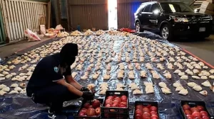 lebanon-hezbollah-narcotics-seized lebanon-hezbollah-narcotics-seized