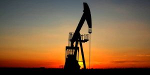 oil oil