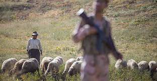 iran-mariwan-shepherd iran-mariwan-shepherd