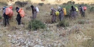 Women-in-the-families-of-porters Women-in-the-families-of-porters