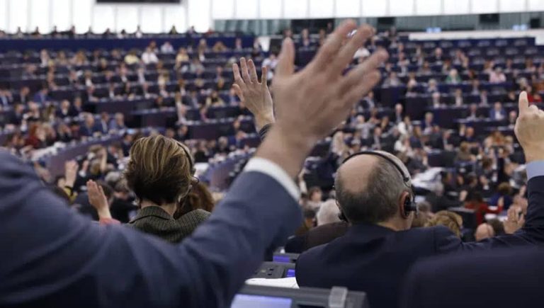 eu parliament voting