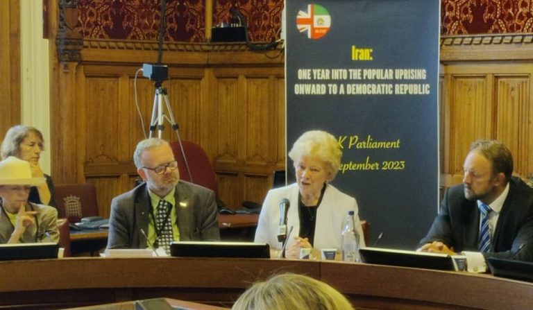 uk parliament baroness o'loan (1)