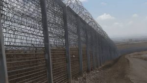 fence wired border fence wired border