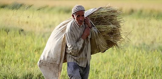 iran farmer agriculture