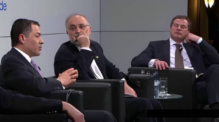 vali nasr ali akbar salehi munich security conference 2013 (1)