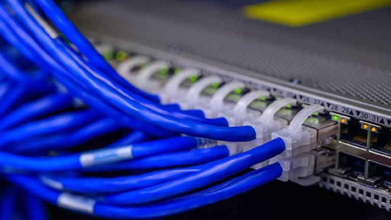 High-speed network cables plugged into a data switch — the backbone of internet infrastructure