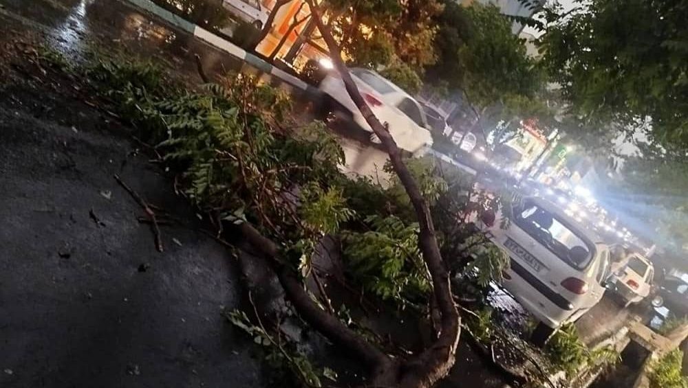 Aftermath of Tehran’s thunderstorm: A tree branch blocking the street – April 27, 2025