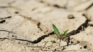 Water shortages in Iran are becoming the source of frustration and protests against the regime