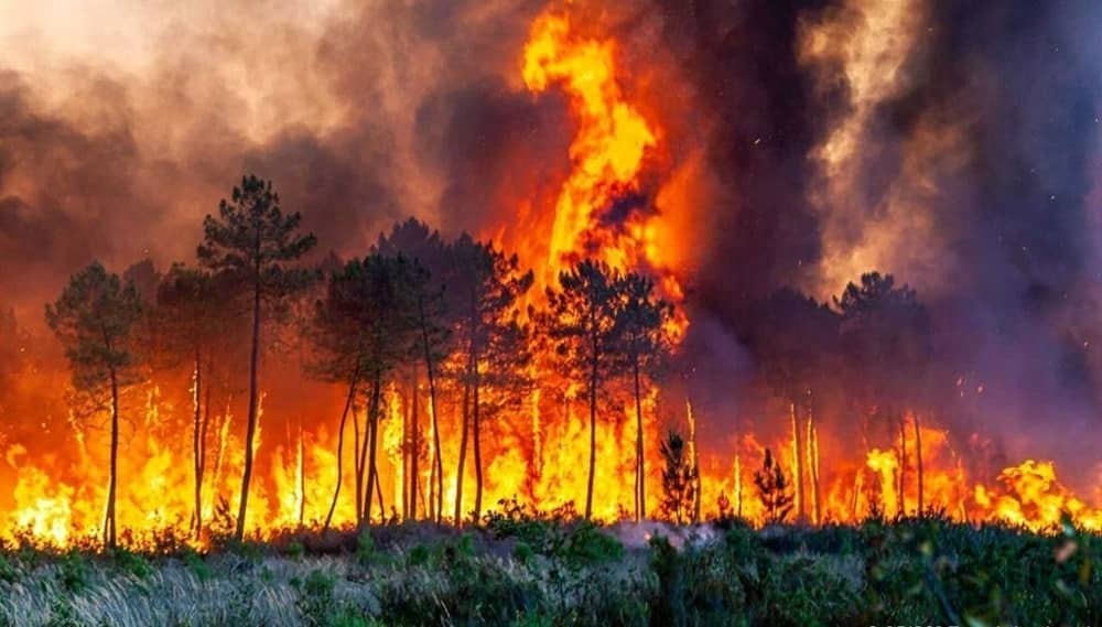A raging wildfire engulfs a forest in northern Iran