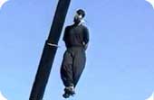 Iran: Seven hangings, execution verdicts in five days Iran: Seven hangings, execution verdicts in five days