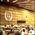 IAEA IAEA
