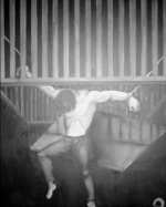 Outrage at execution of political prisoners in Iran Outrage at execution of political prisoners in Iran