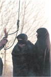 Iran: ââ¬ÅI do not want to be hanged, I love freedomââ¬Â ââ¬â A woman sentenced to death Iran: ââ¬ÅI do not want to be hanged, I love freedomââ¬Â ââ¬â A woman sentenced to death