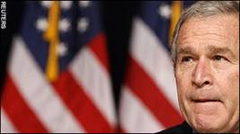 bush-27