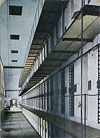 prison-cell-2 Mullahs' official makes shocking admission on the number of prisoners in Iran