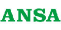 ansa Sample Image