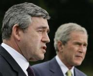 brown-bush Active Image