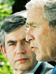 brown_bush Sample Image