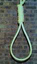 Hanging noose Hanging noose