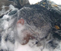 Iran: A political activist was murdered under torture Iran: A political activist was murdered under torture