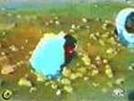 A man stoned to death in northern Iran A man stoned to death in northern Iran