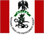 ndlea NDLEA
