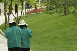 Women only park in Tehran Women only park in Tehran