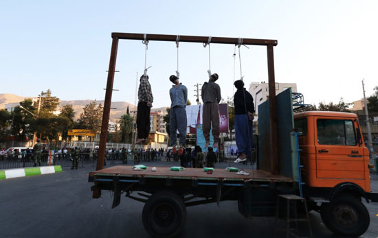hanging-shiraz-2014-sept-18-2