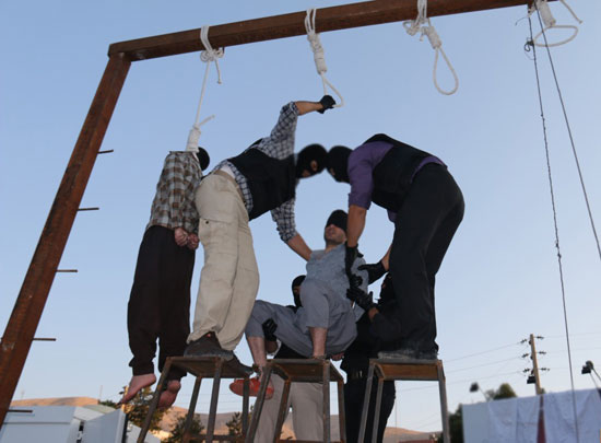 hanging-shiraz-2014-sept-18-4