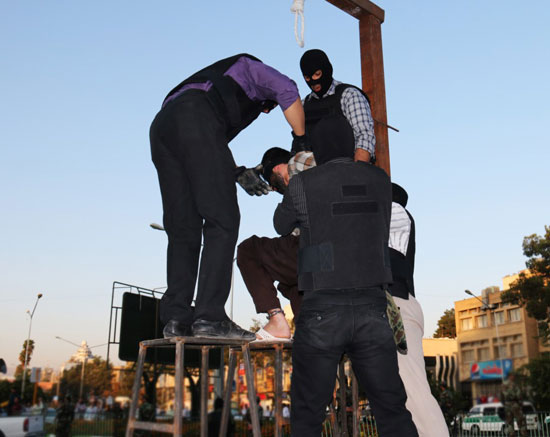 hanging-shiraz-2014-sept-18-5