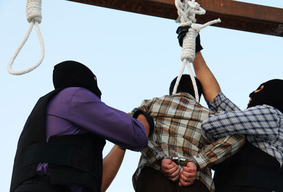 hanging-shiraz-2014-sept-18-7