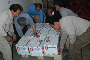 forklift-truck-liberty-300 forklift-truck-liberty-300