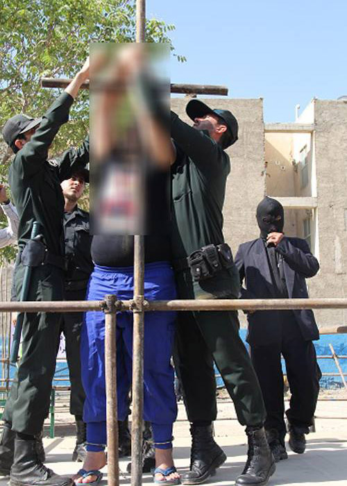 flogged3-500 flogged3-500