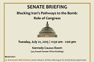 senate-brefing-300 senate-brefing-300