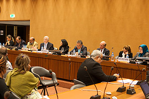  Geneva human rights panel: Susan Mathews, 2nd from right