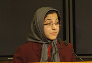 azimi-300